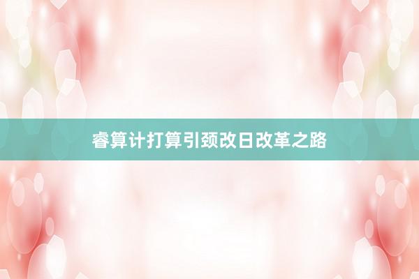 睿算计打算引颈改日改革之路