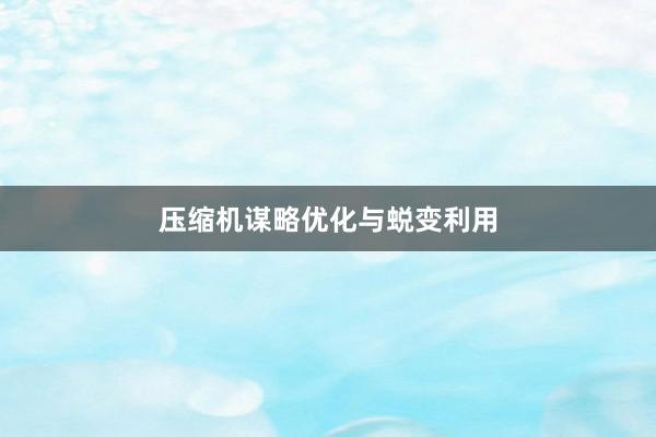 压缩机谋略优化与蜕变利用