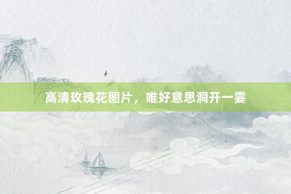高清玫瑰花图片，唯好意思洞开一霎