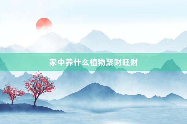 家中养什么植物聚财旺财
