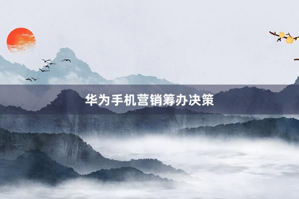 华为手机营销筹办决策